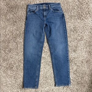 Joe's Jeans Women's Skinny Denim